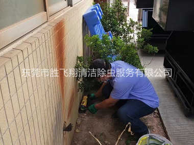 长安投放灭鼠装置工程