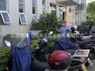清溪厂区杀虫灭蚊工程