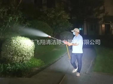 洪梅镇绿化除蚊虫工程